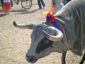 carretones