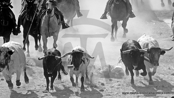 ganador-concurso-forografia-san-roque-2014