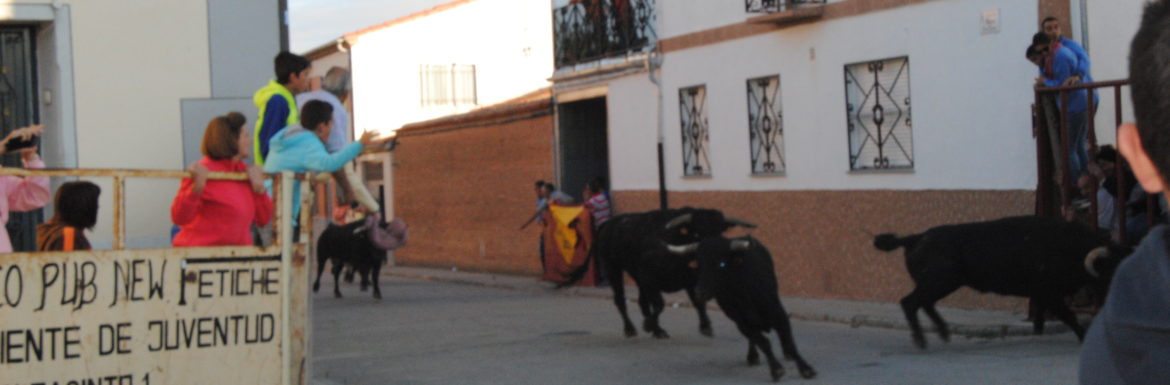 Encierro San Roque