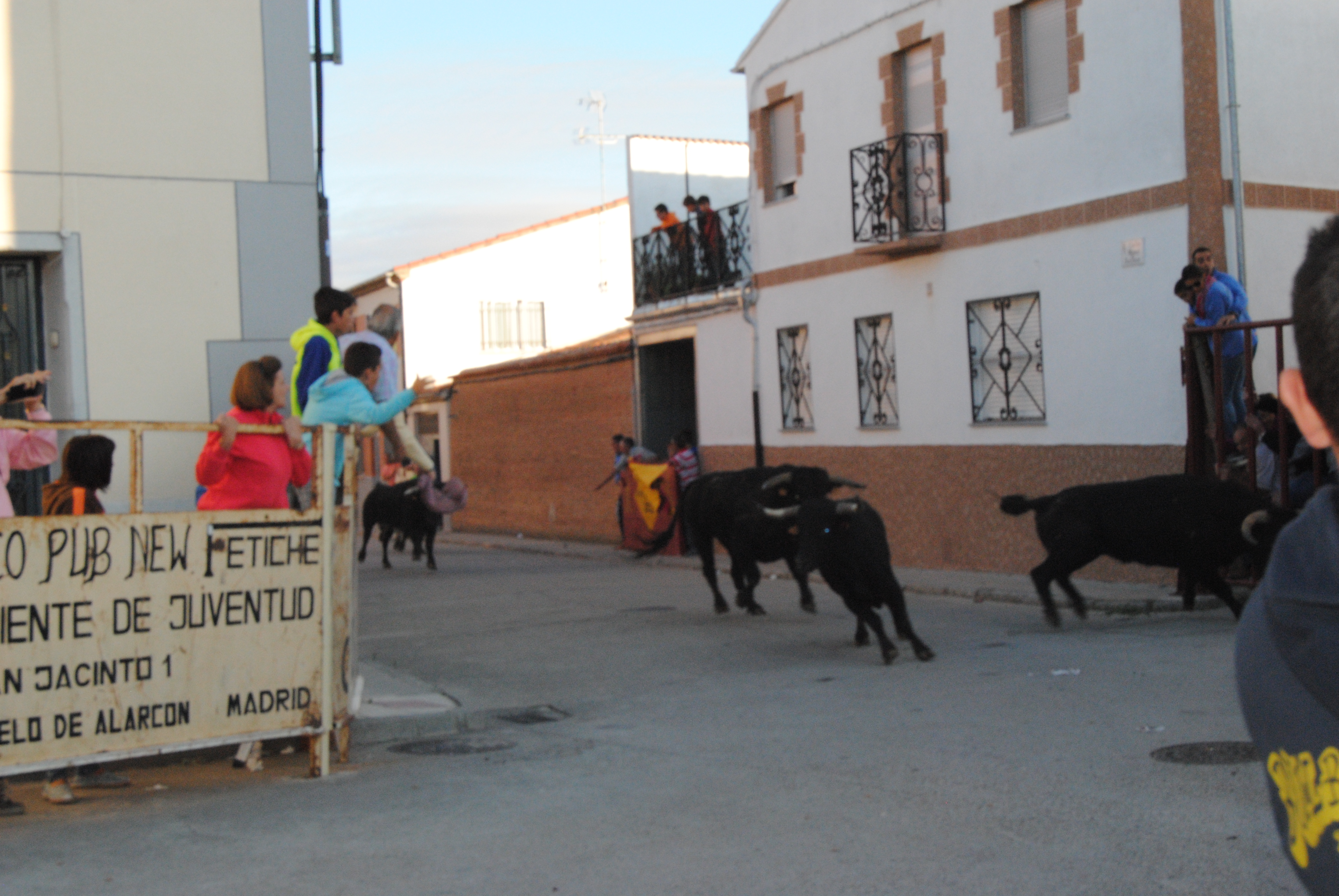 Encierro San Roque