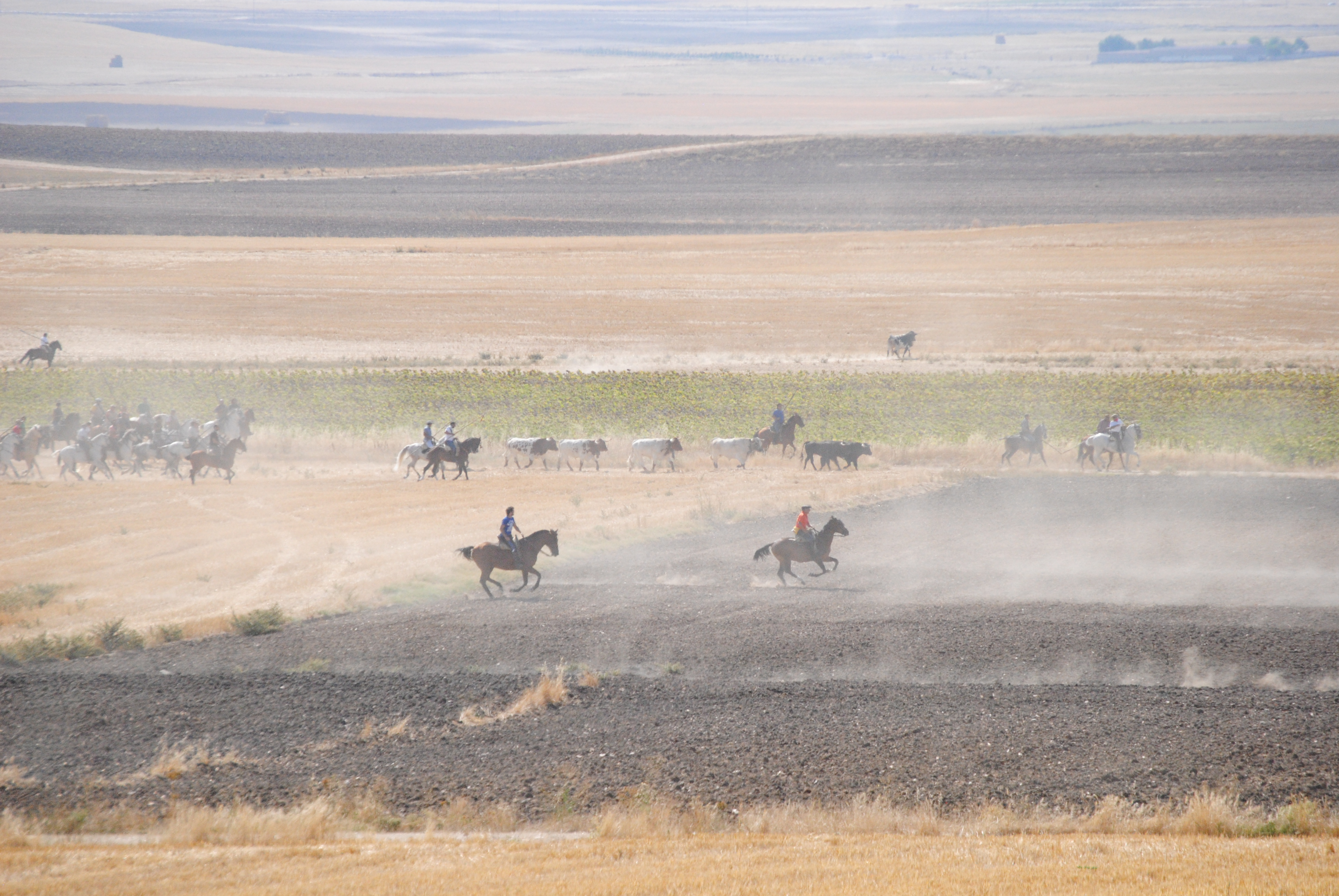 Encierro a Caballo