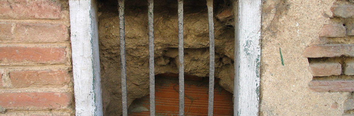 Bisnera