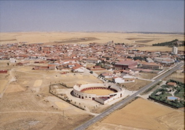 Macotera