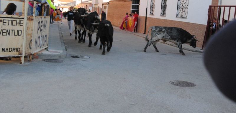 3 encierro san roque 2016