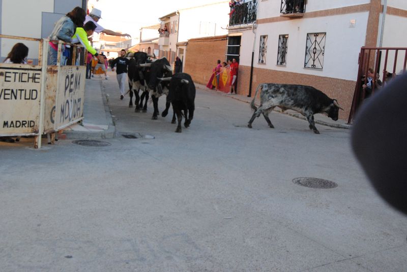 3 encierro san roque 2016