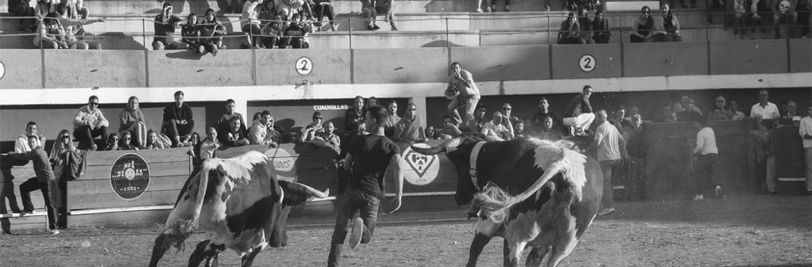 Concurso Fotografía Taurina