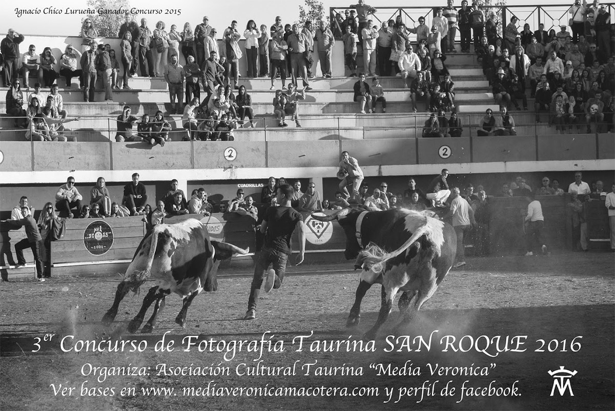 Concurso Fotografía Taurina