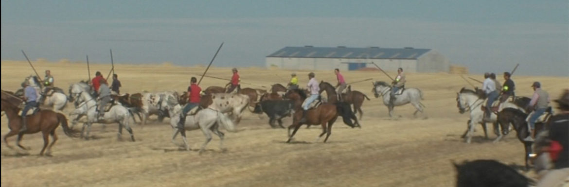 Encierro Caballo