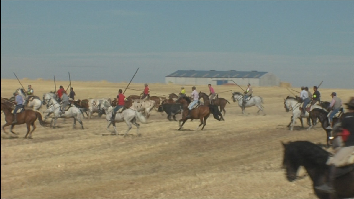 Encierro Caballo