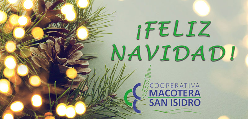 Feliz Navidad