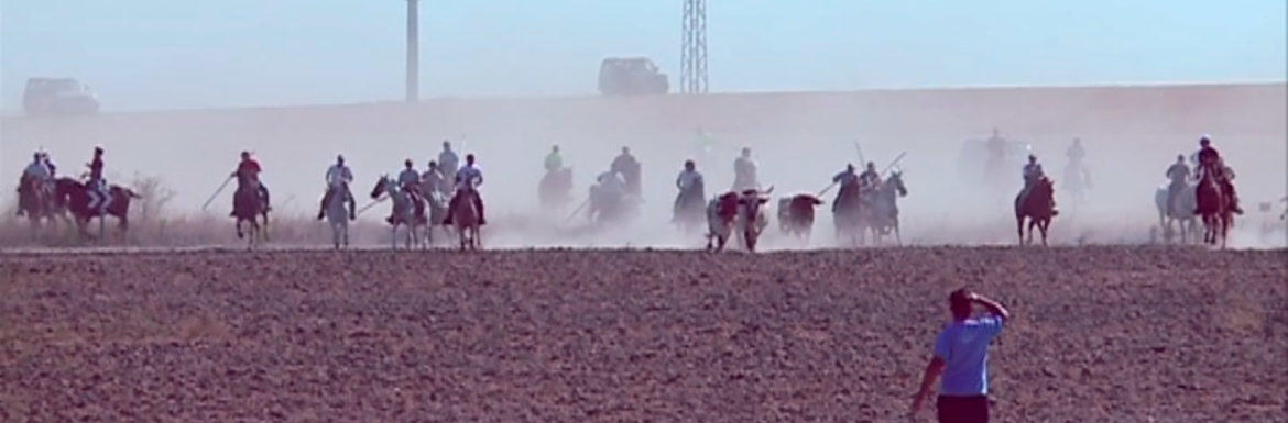 Encierro Caballo