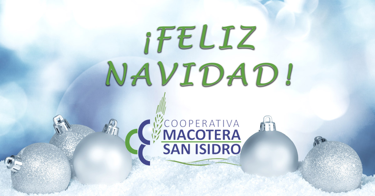 Felices Fiestas