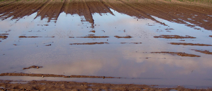 Pérdidas Agrícolas Inundaciones Desbordamientos