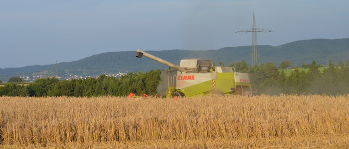 Como Sabe Agricultor Cereal Listo Recogida