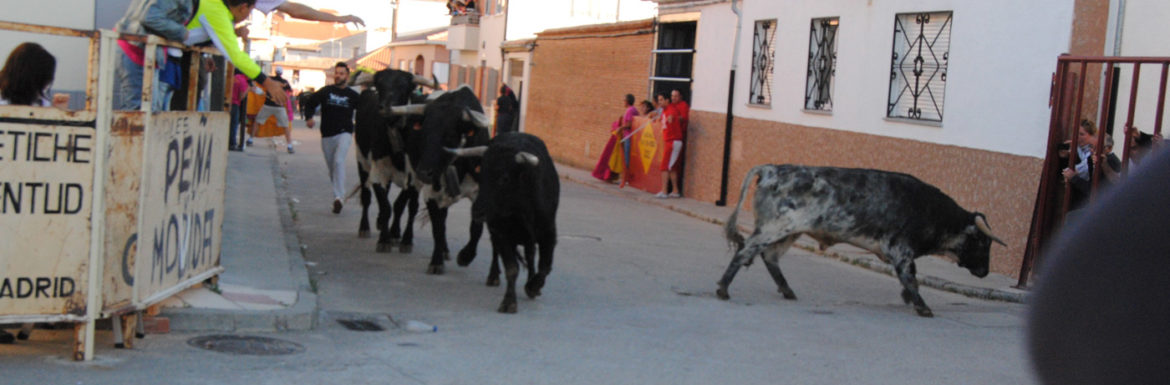 17 Agosto San Roque el Chico