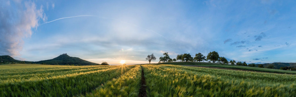 A que se dedica agricultor desde sementera a recogida grano