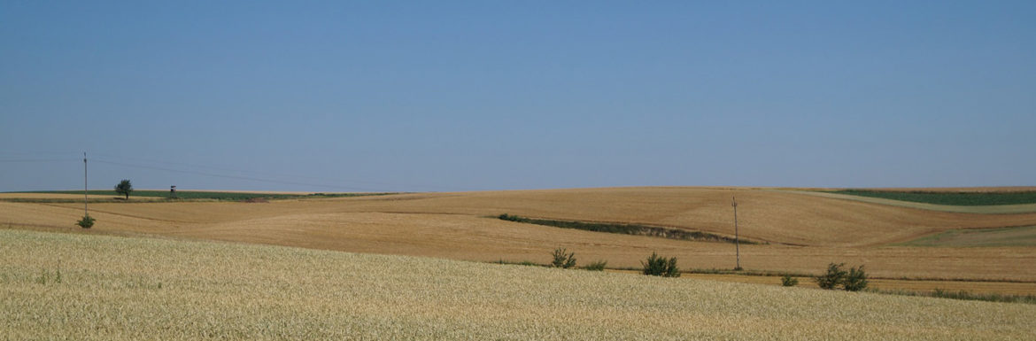 Castilla Leon más secano que regadío