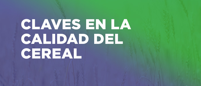 Calidad del Cereal