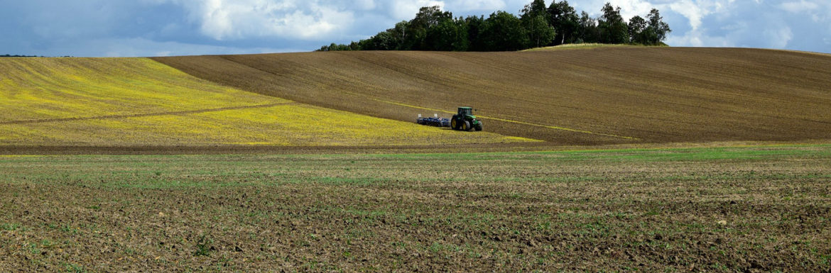 Futuro del Sector Agroalimentario