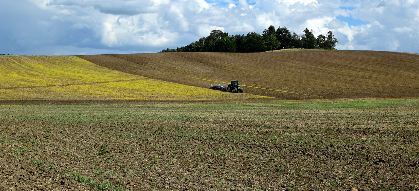 Futuro del Sector Agroalimentario