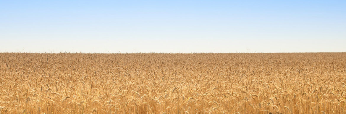 Productividad Sector Agroalimentario, Método Lean
