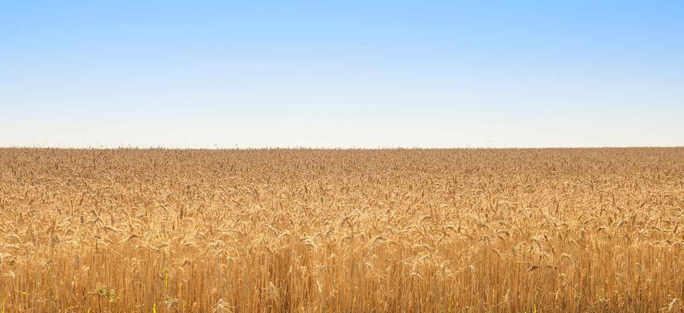 Productividad Sector Agroalimentario, Método Lean