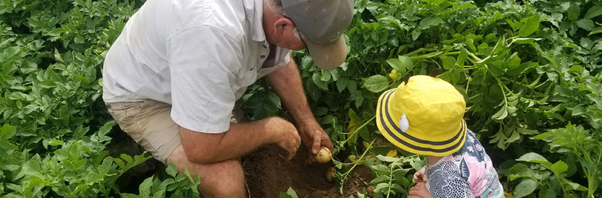 Qué es la agricultura para un niño