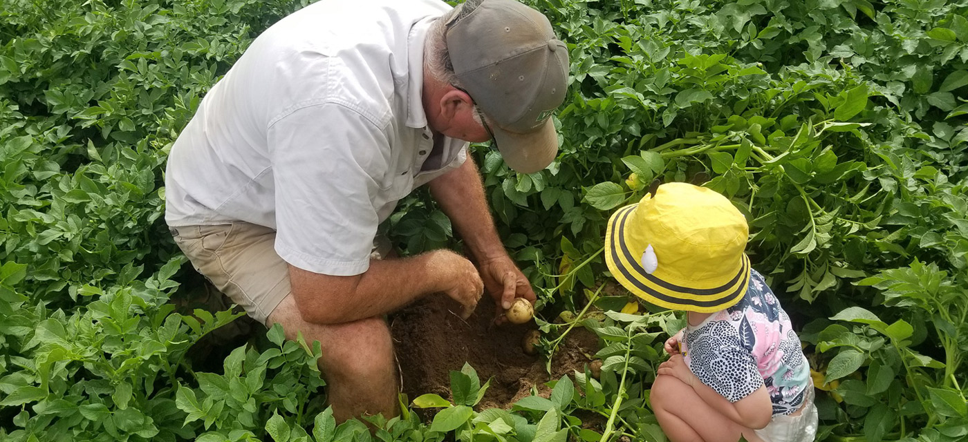 Qué es la agricultura para un niño